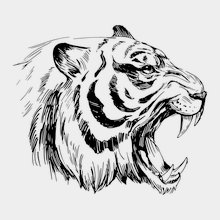Переводная татуировка Амурский тигр