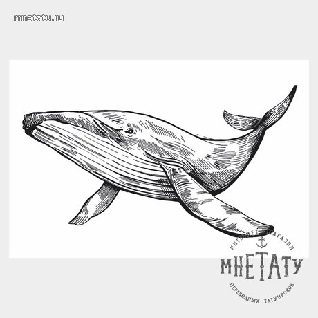 переводная татуировка белый кит