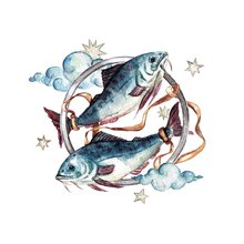 Переводная татуировка Знаки зодиака Рыбы