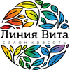 Салон красоты «Линия Vita»