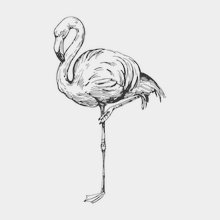 Переводная татуировка Одинокий фламинго