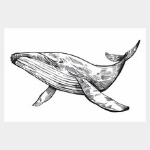 Переводная татуировка Белый кит