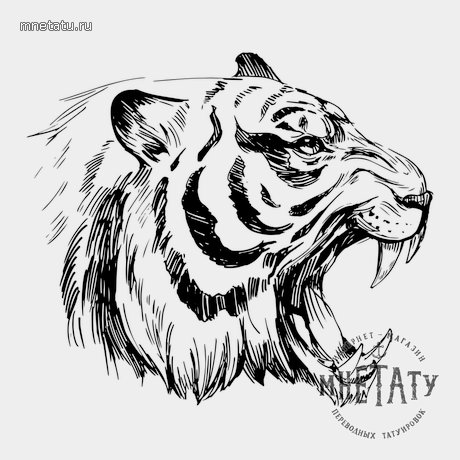 переводная татуировка амурский тигр