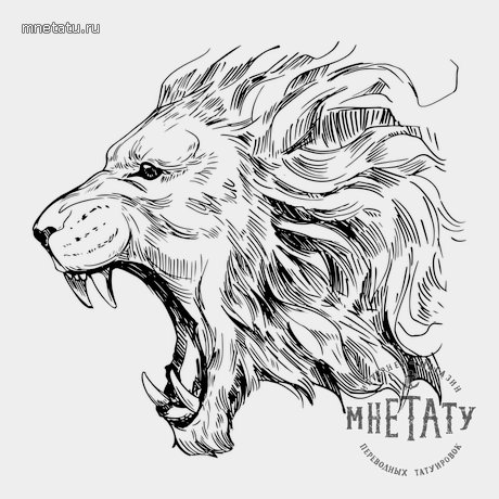переводная татуировка ярость льва