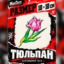 переводная картинка